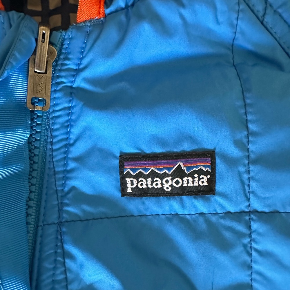 patagonia reversible suit